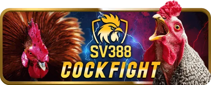 Sự kiện thể thao 78wib chính thức